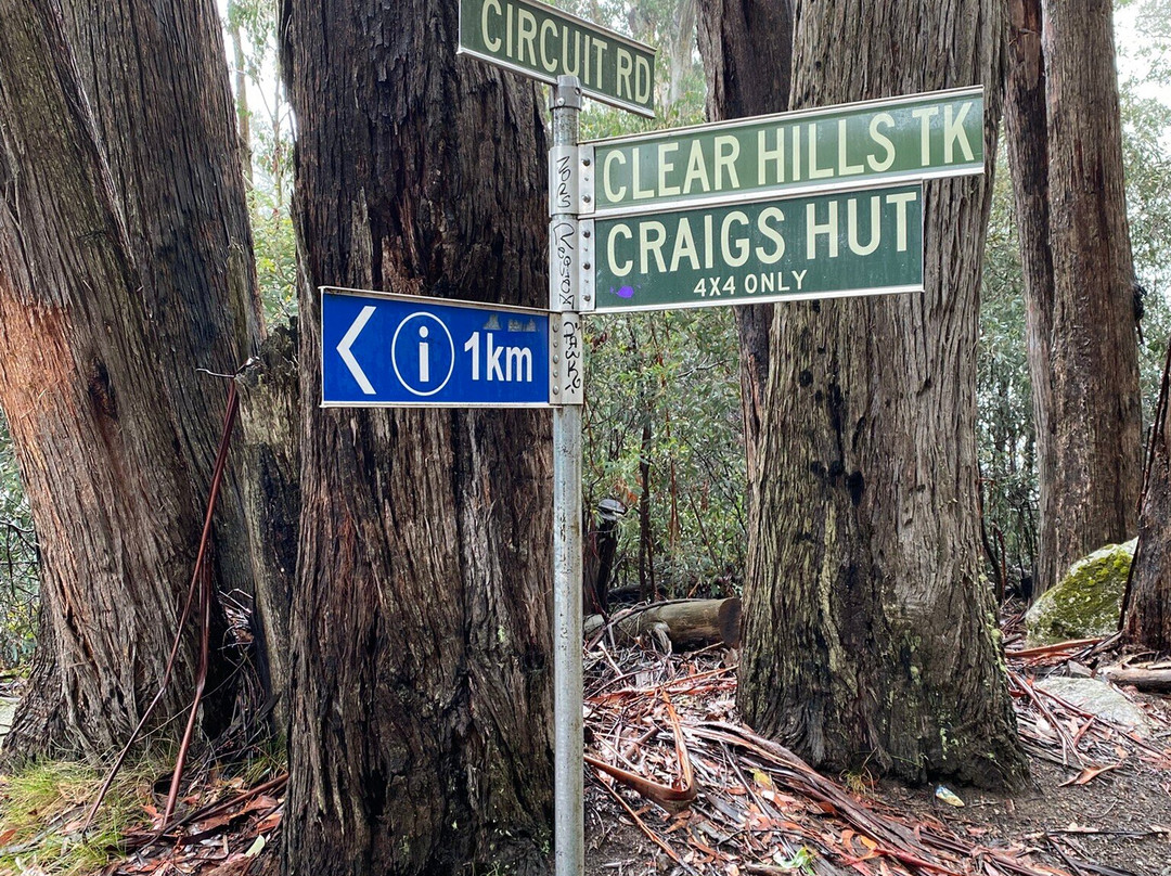 High Country Scenic Tours-曼斯菲尔德必去景点