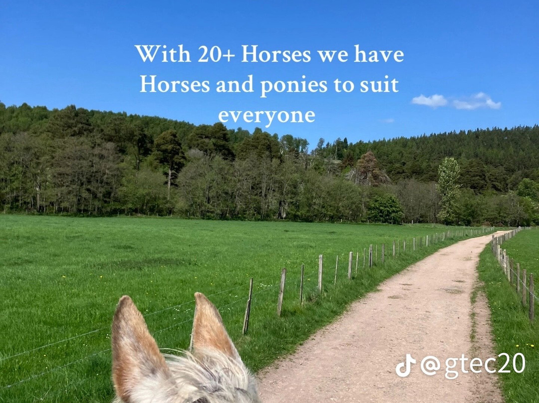 Derbyshire Pony Trekking-Mansfield必去景点