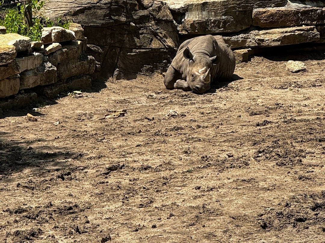 Kansas City Zoo & Aquarium-堪萨斯城必去景点