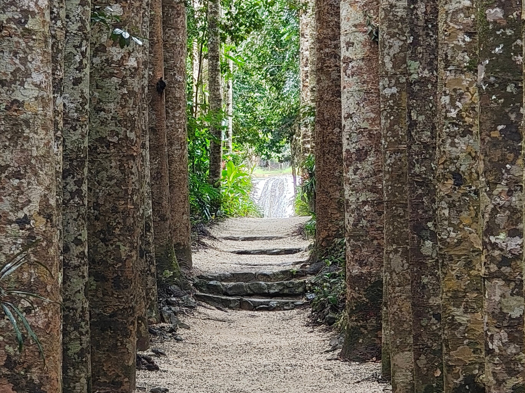 Paronella Park-米娜溪必去景点