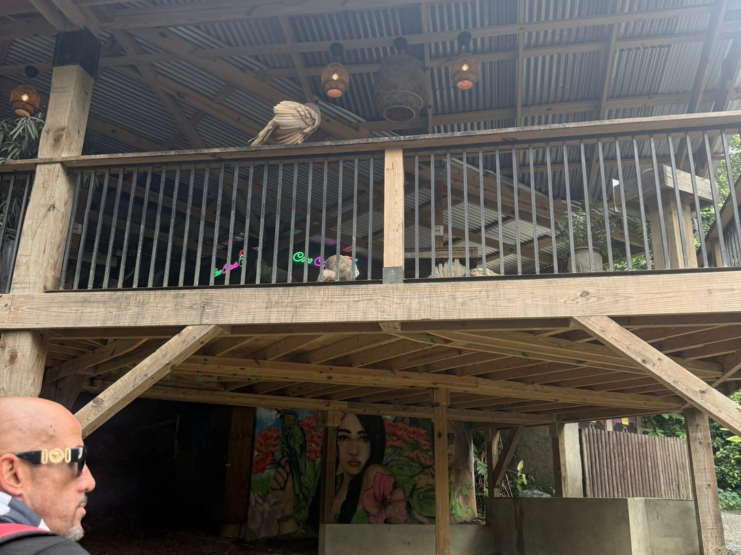 Rainforest & Ocean View Inn at Hacienda Carabali主图