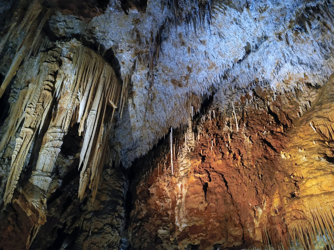 Grotte de Clamouse-Saint-Jean-de-Fos必去景点