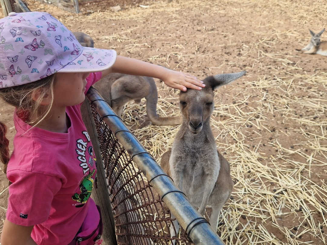 Greenough Wildlife & Bird Park-Greenough必去景点
