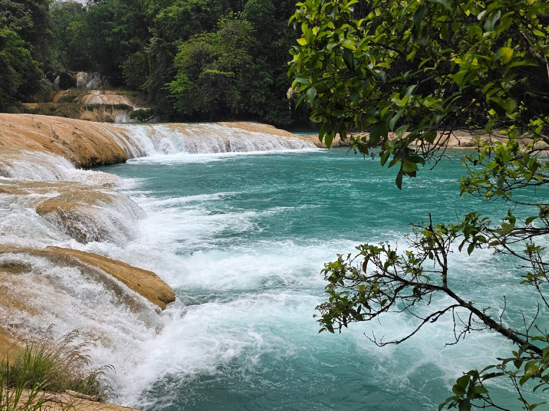 Cascadas de Agua Azul-帕伦克必去景点