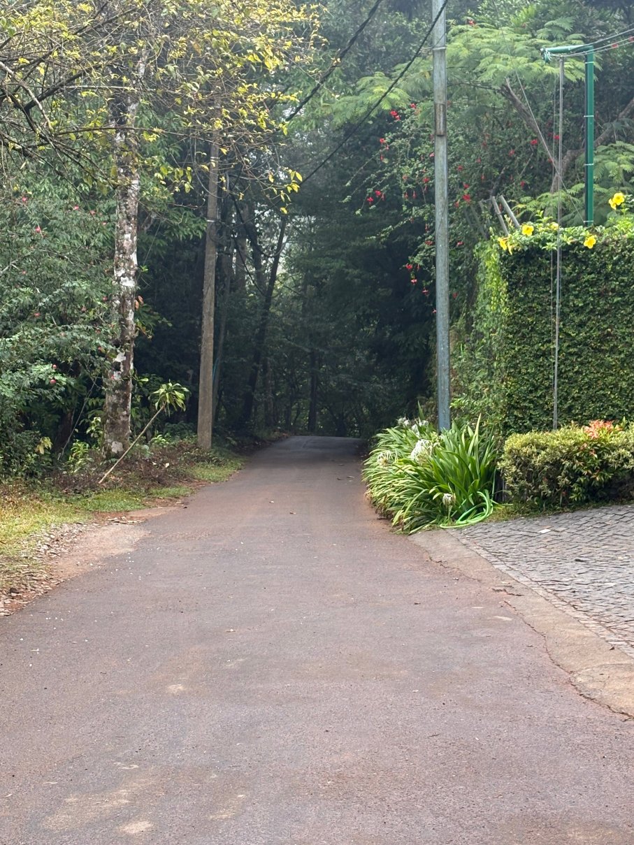 弗洛拉维提里度假村-旅行者