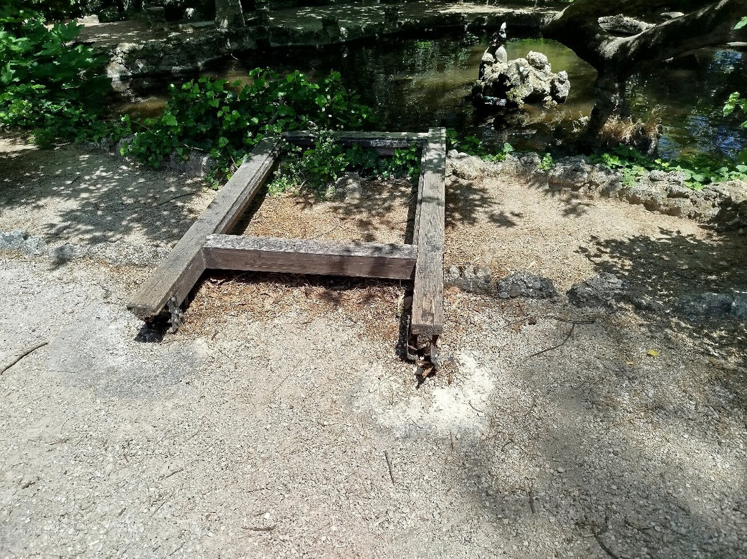 Rodini Park-罗德斯必去景点