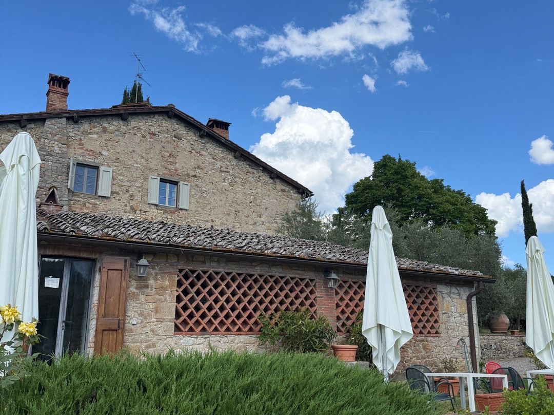 Le Miccine Vineyards And Winery-加约莱因基安蒂必去景点