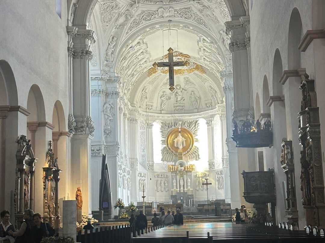 Wurzburg Cathedral-维尔茨堡必去景点