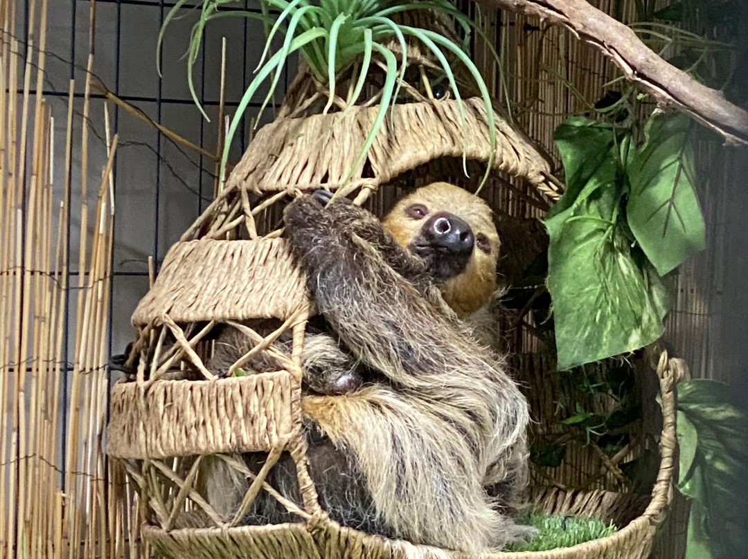 North Florida Wildlife Center-Lamont必去景点