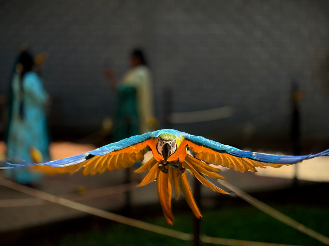 Rajali Birds Park-坦加布尔必去景点