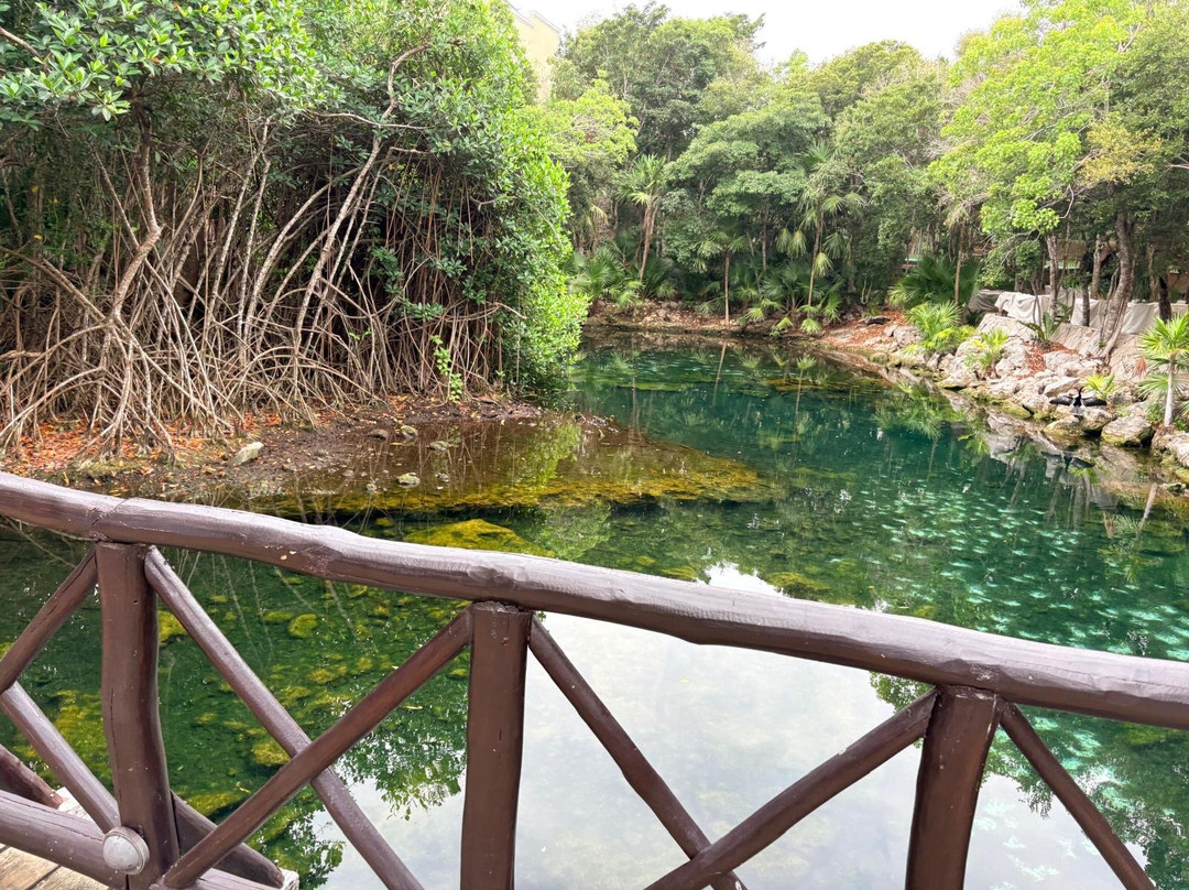 水疗度假酒店-限成人入住-全包式主图