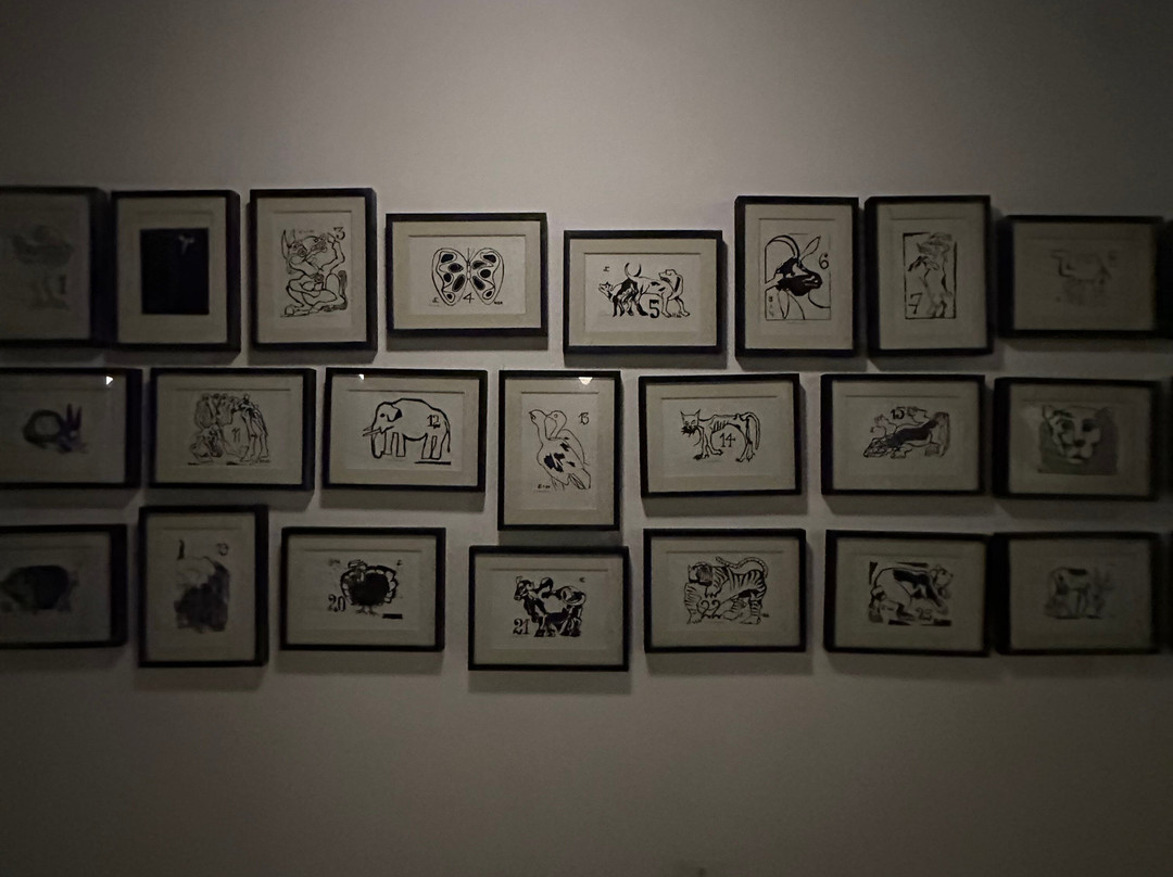巴西家园 - 酒店画廊主图
