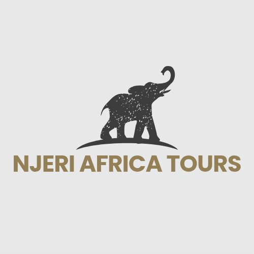 Njeri Africa Tours-Muizenberg必去景点