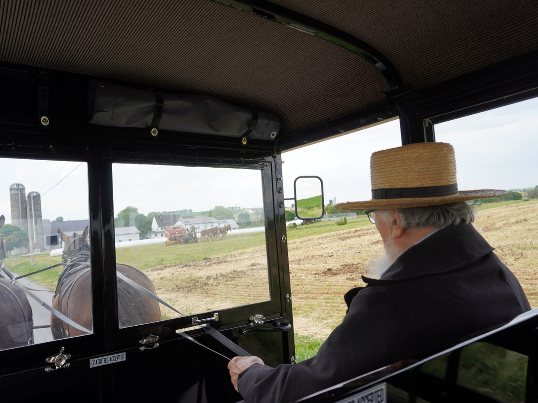 AAA Buggy Rides-Intercourse必去景点