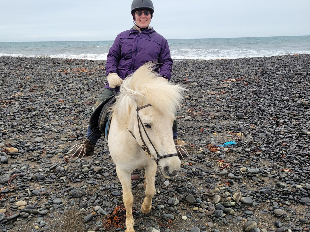 Lysuholl - Horseback riding tours-Snaefellsbaer必去景点