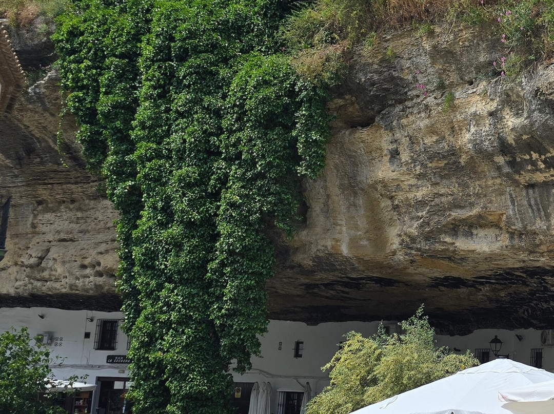 Calle Cueva Del Sol-Setenil de las Bodegas必去景点