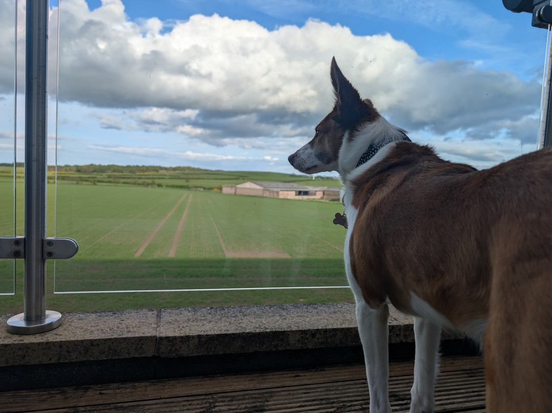 拉松斯旅馆主图