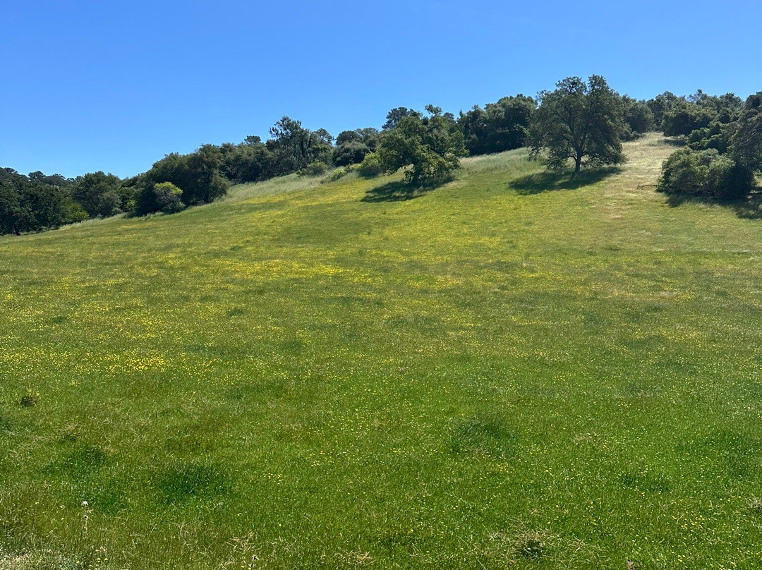 Rail Explorers: Amador CA Division-Ione必去景点