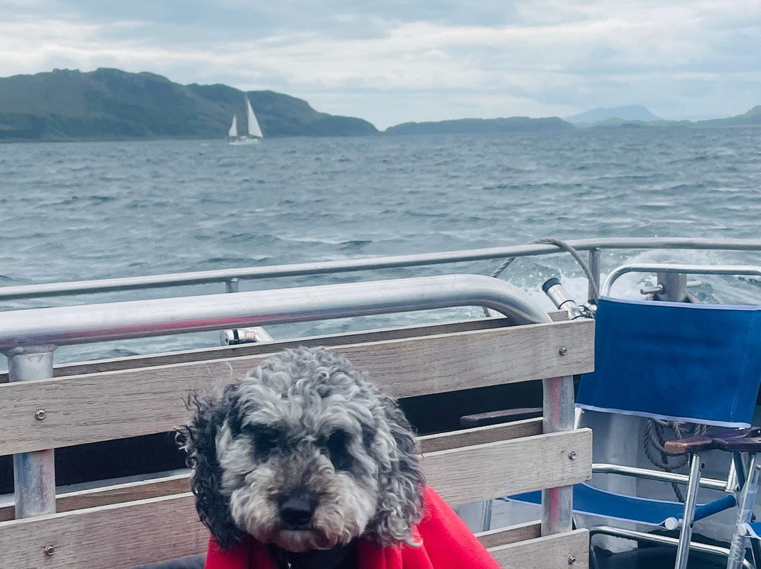 Argyll-Sea Tours-奥本必去景点