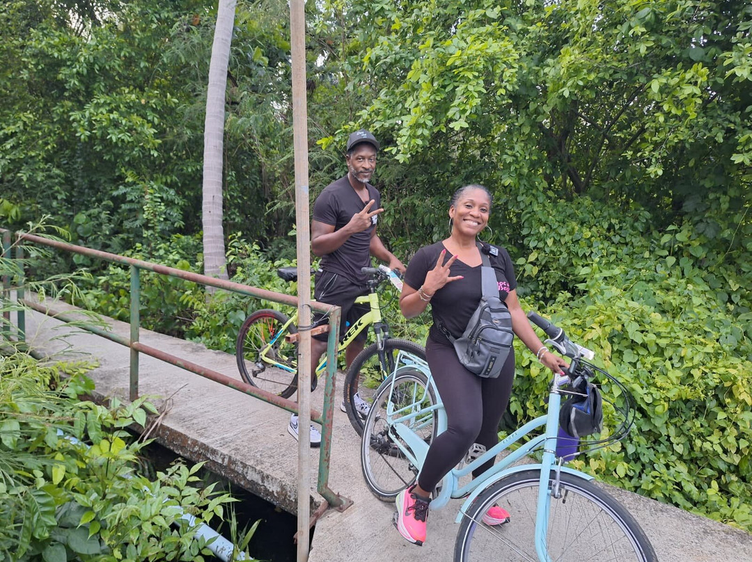 Bamboo Bicycle Tours Thailand-曼谷必去景点