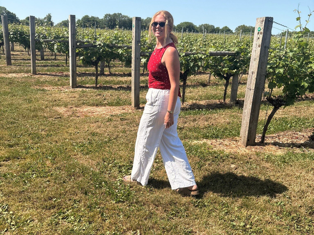 Langham Wine Estate Vineyard-多切斯特必去景点