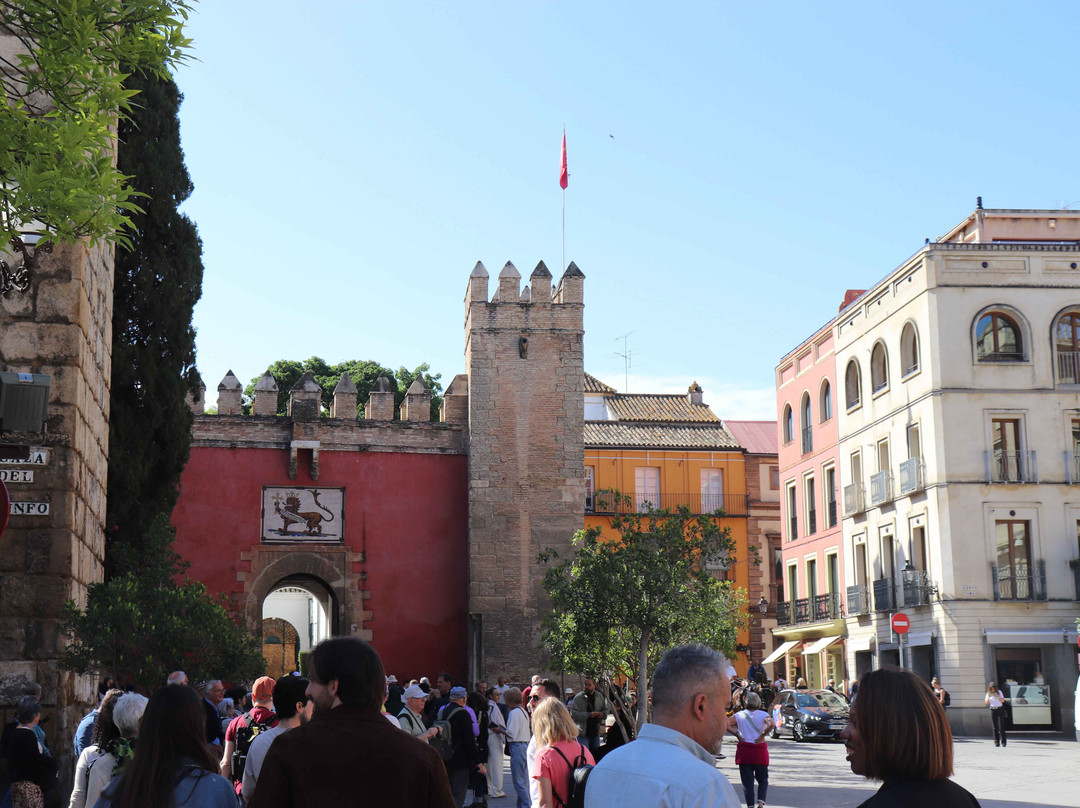 Plaza del Triunfo-塞维利亚必去景点