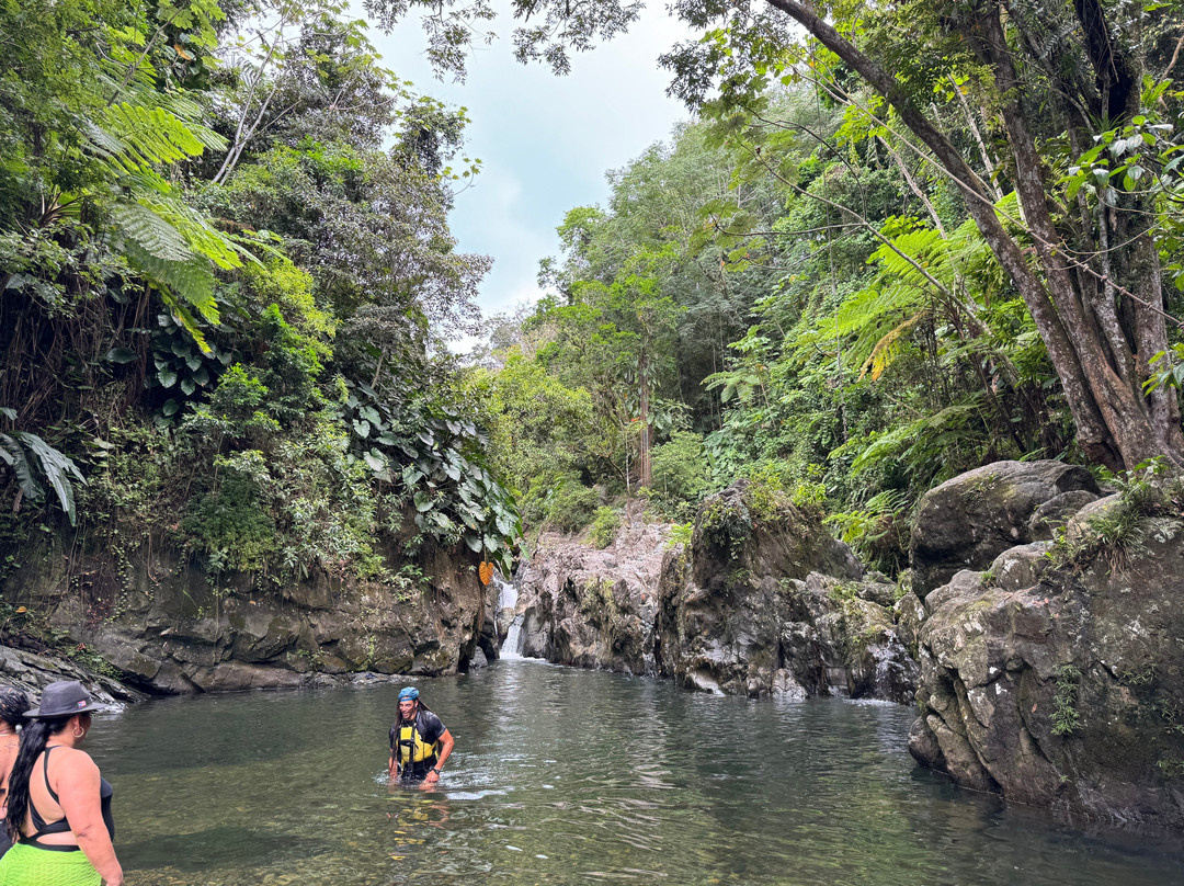 Spotin tours-Guaynabo必去景点