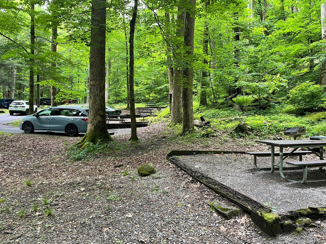 Chimneys Picnic Area-大雾山国家公园必去景点