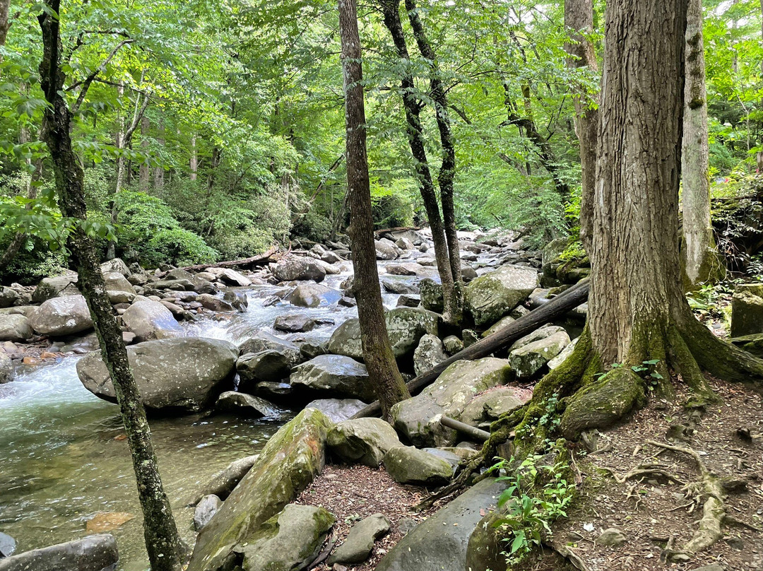 Chimneys Picnic Area-大雾山国家公园必去景点