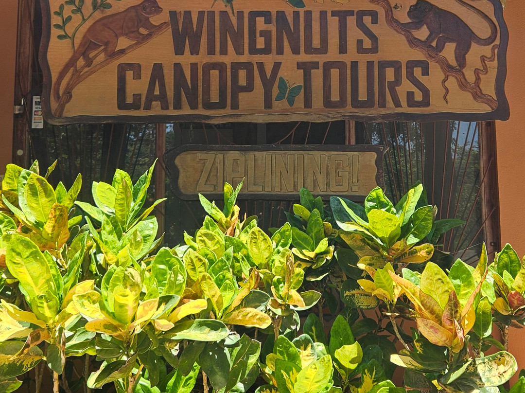 Wingnuts Canopy-萨玛拉滩必去景点