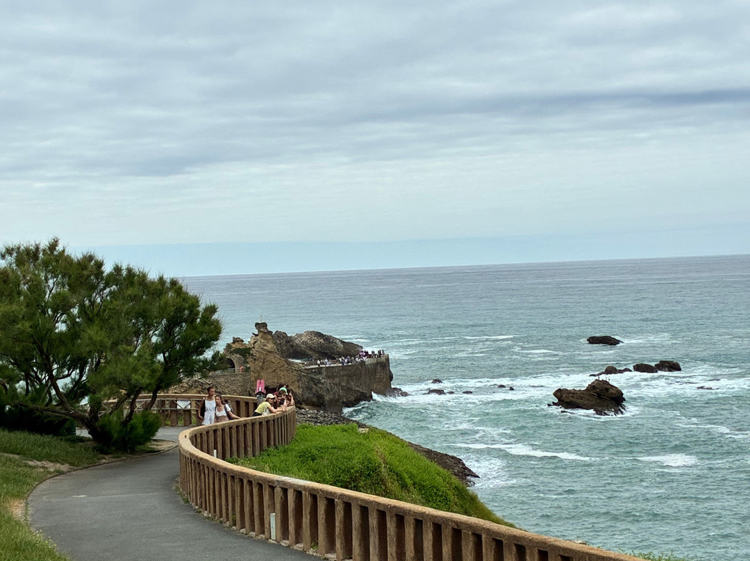 Aquarium de Biarritz-比亚里茨必去景点
