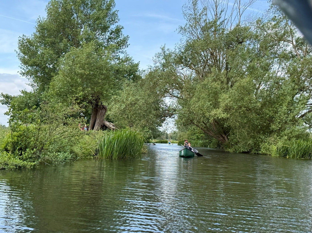 River Stour Trust Dedham Vale Boat Trips