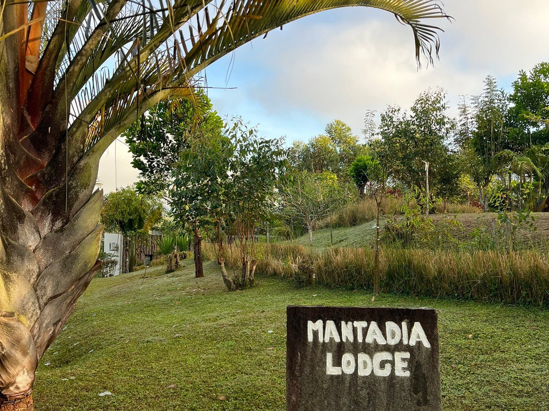 Mantadia Lodge主图