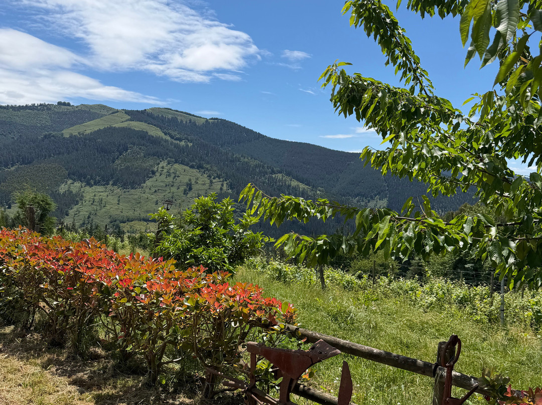 ToursByBasques Private Guided Tours-毕尔巴鄂必去景点