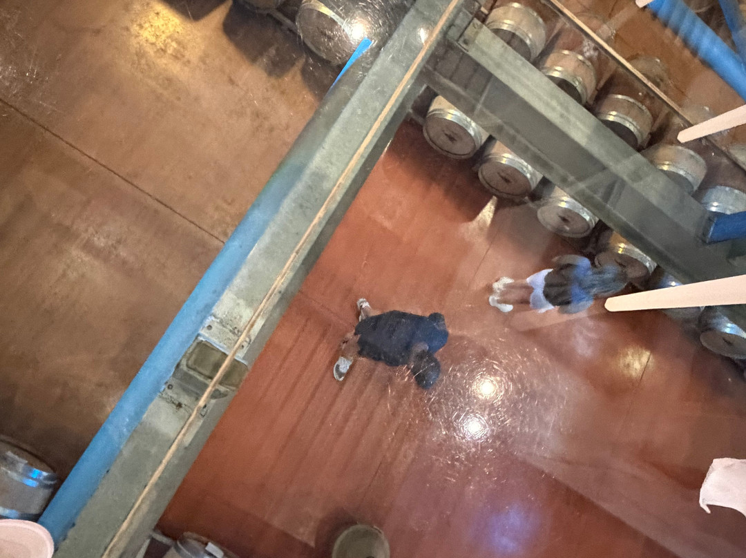 Icario Winery-蒙特普尔恰诺必去景点