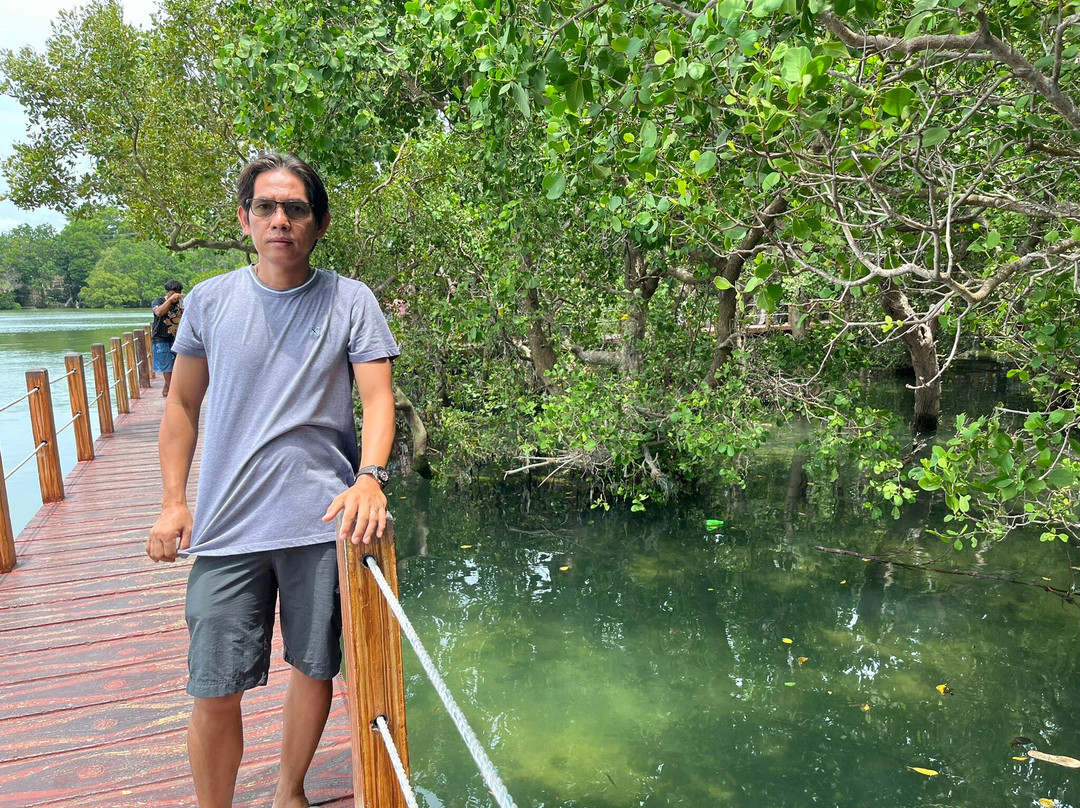 Mangrove Nursery-长滩岛必去景点