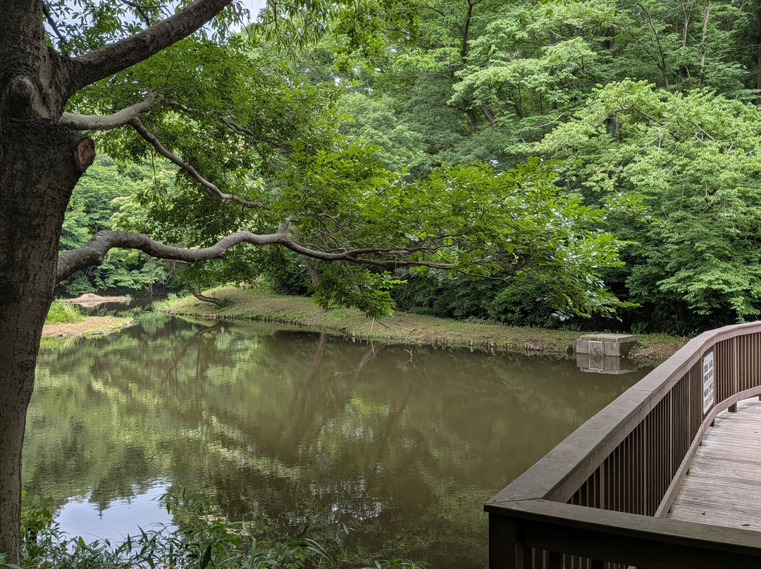 Zama Yatoyama Park-座间市必去景点
