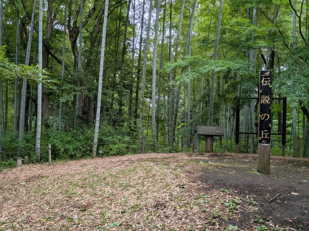 Zama Yatoyama Park-座间市必去景点