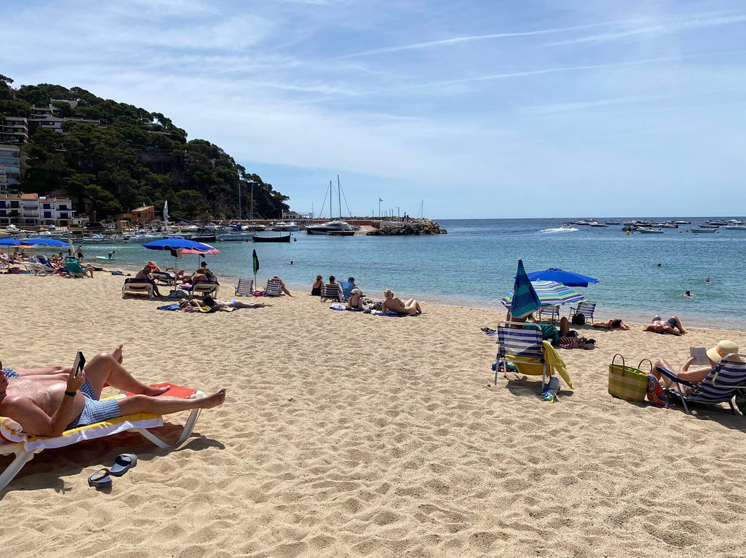 Playa De Llafranc
