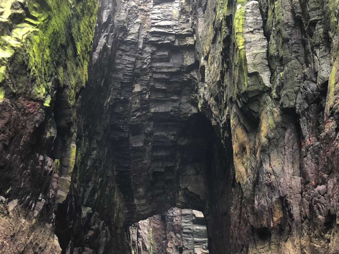 Mingulay Boat Trips & Wildlife Spotting-Castlebay必去景点