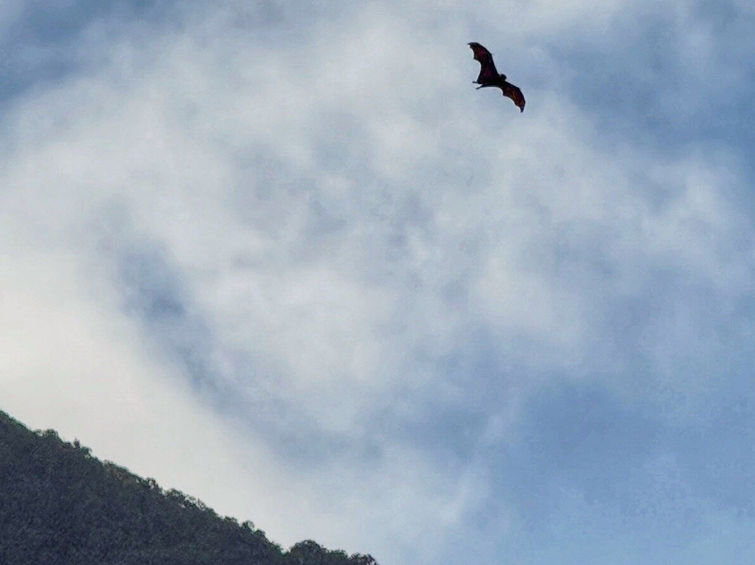 National Park of American Samoa-Pago Pago必去景点