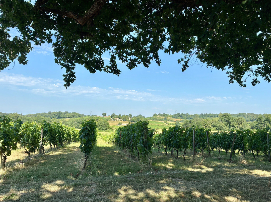 Chateau Boutinet-Villegouge必去景点