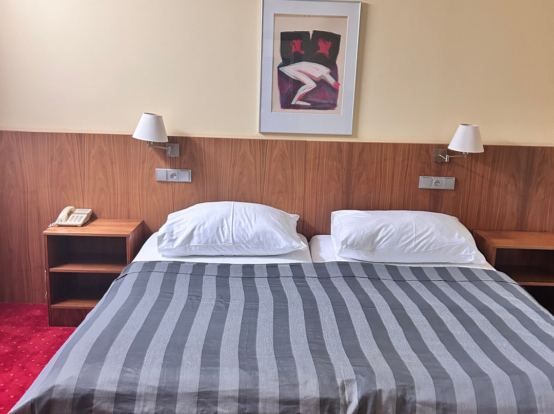 Hotel Jana Congress & Wellness主图