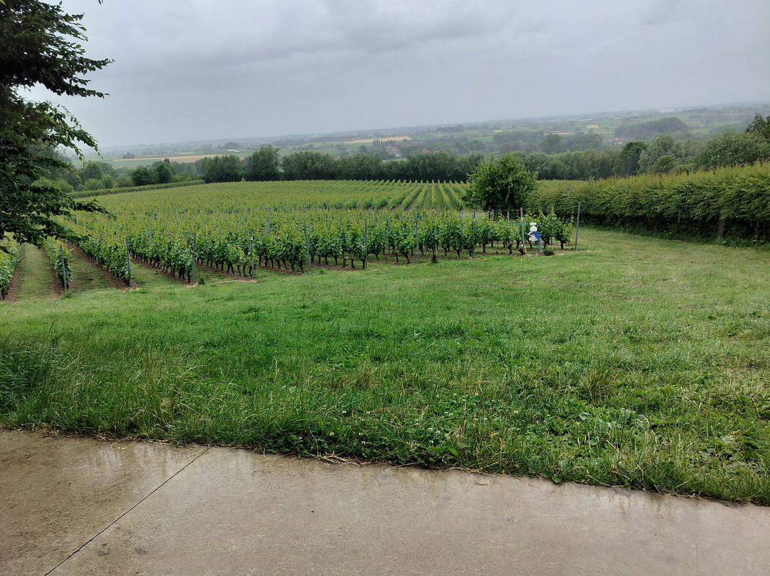Winery Entre-deux-monts-Westouter必去景点