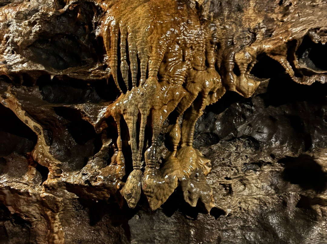 White Scar Cave-Ingleton必去景点