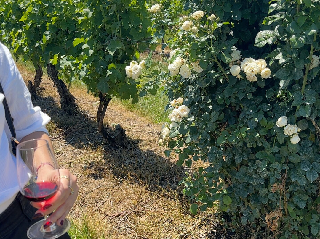 Reif Estate Winery-滨湖尼亚加拉必去景点