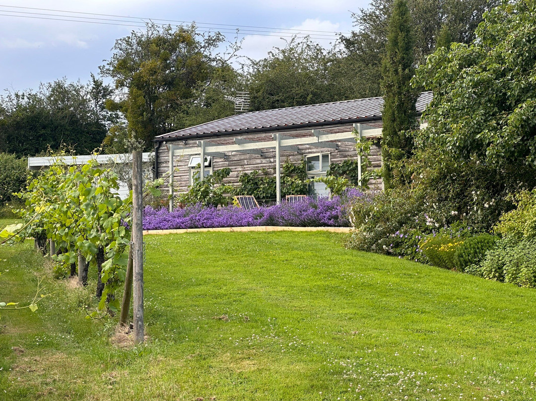 Coddington Vineyard-Ledbury必去景点
