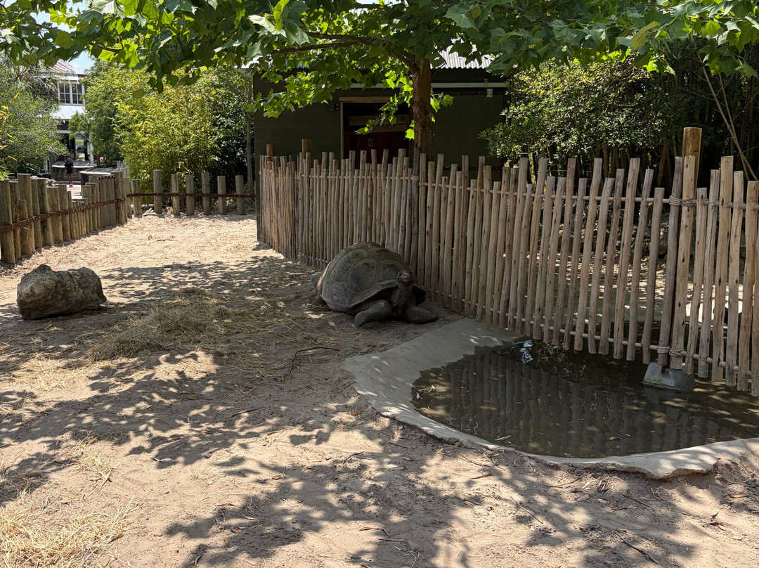 Alligator Adventure-美特尔海滩必去景点