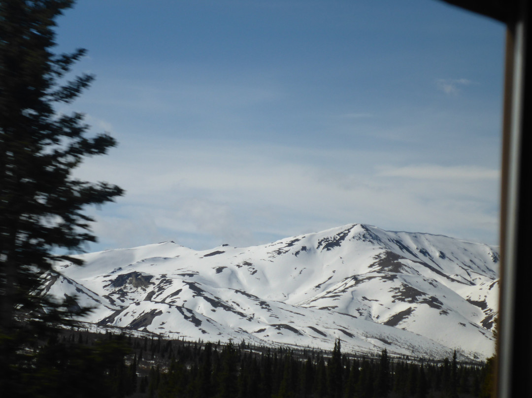 Tundra Wilderness Tour-Denali Park必去景点