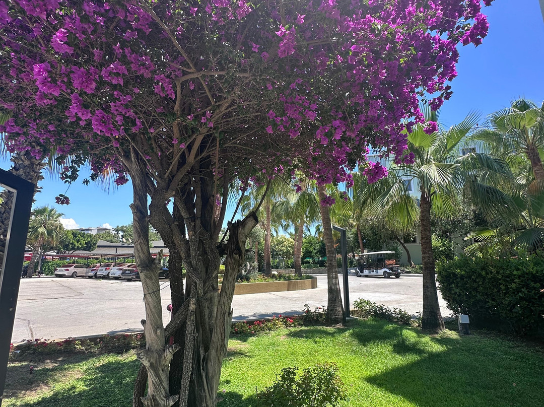 玛丽蒂姆萨拉伊丽晶酒店主图